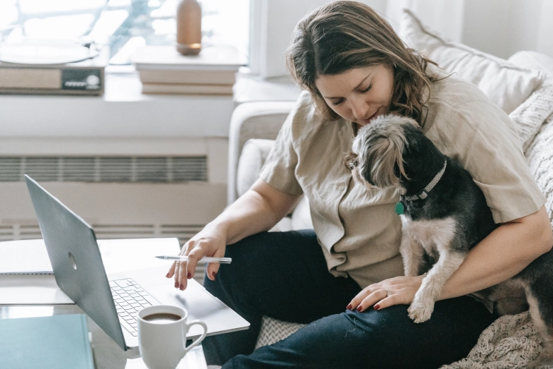 How to start a pet-sitting business