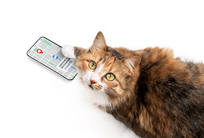 Apple AirTags for Pets